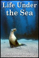 Life
                Under the Sea book cover