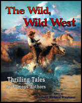 The
                Wild, Wild West book cover