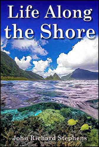 Life Along the Shore